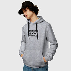 Толстовка-худи хлопковая мужская Pink Floyd animals, цвет: меланж — фото 2