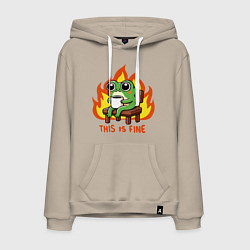 Мужская толстовка-худи Frog - this is fine