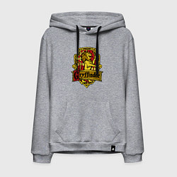 Мужская толстовка-худи Hogwarts - gryffindor logo