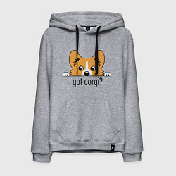 Толстовка-худи хлопковая мужская Got Corgi, цвет: меланж