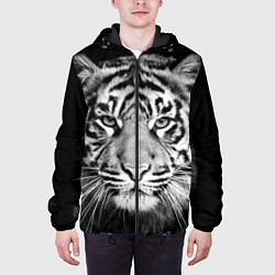 Куртка с капюшоном мужская Мордочка тигра, цвет: 3D-черный — фото 2