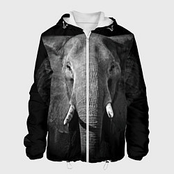 Куртка с капюшоном мужская Взгляд слона, цвет: 3D-белый