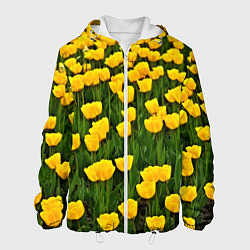 Мужская куртка Жёлтые тюльпаны