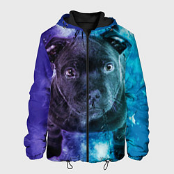 Куртка с капюшоном мужская Милый пёс, цвет: 3D-черный