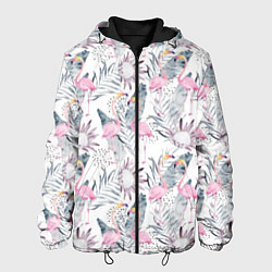 Мужская куртка Тропические фламинго