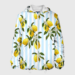 Куртка с капюшоном мужская Лимоны, цвет: 3D-белый
