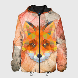 Куртка с капюшоном мужская Fox, цвет: 3D-черный