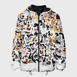Куртка с капюшоном мужская Котики, цвет: 3D-черный