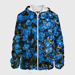 Мужская куртка Поле синих цветов фиалки лето