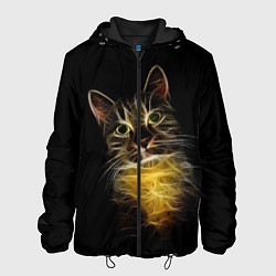 Мужская куртка Дымчато-световой кот