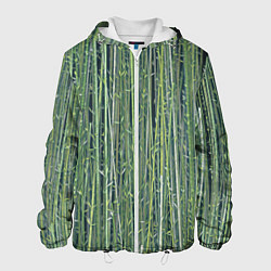 Мужская куртка Зеленый бамбук