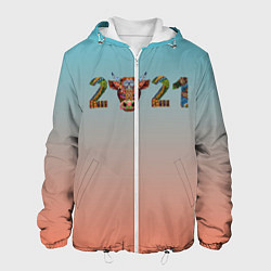 Куртка с капюшоном мужская 2021 Год быка, цвет: 3D-белый