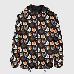 Куртка с капюшоном мужская Много котов, цвет: 3D-черный