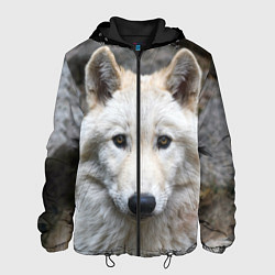 Куртка с капюшоном мужская Волк, цвет: 3D-черный