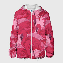 Мужская куртка Розовые фламинго