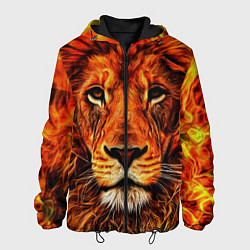 Куртка с капюшоном мужская LION, цвет: 3D-черный