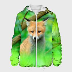 Куртка с капюшоном мужская Лисенок в зеленом лесу, цвет: 3D-белый