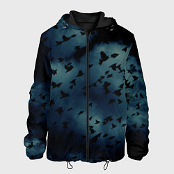 Куртка с капюшоном мужская Flock of birds, цвет: 3D-черный