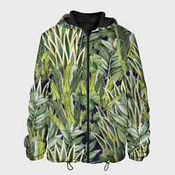 Куртка с капюшоном мужская Экзотические Летние Цветы и Листва, цвет: 3D-черный