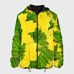 Куртка с капюшоном мужская Осенние кленовые листья, цвет: 3D-черный