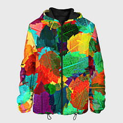 Мужская куртка Colored leaves