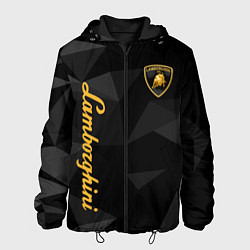 Куртка с капюшоном мужская Lamborghini серые треугольники, цвет: 3D-черный