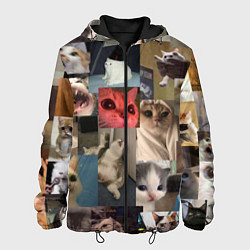 Куртка с капюшоном мужская Мемные котики, цвет: 3D-черный