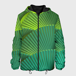 Куртка с капюшоном мужская Объемные веерные столбики, цвет: 3D-черный