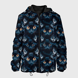 Куртка с капюшоном мужская Черные котята, цвет: 3D-черный