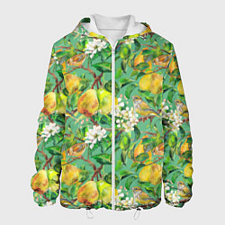 Куртка с капюшоном мужская Груши и птицы, цвет: 3D-белый