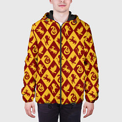 Куртка с капюшоном мужская Гарри Поттер факультеты, цвет: 3D-черный — фото 2