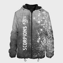 Куртка с капюшоном мужская Scorpions - grey gradient по-вертикали, цвет: 3D-черный
