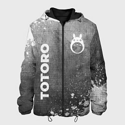 Мужская куртка Totoro - grey gradient вертикально