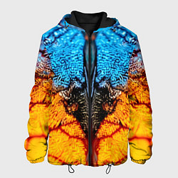 Куртка с капюшоном мужская Макро крыло бабочки, цвет: 3D-черный