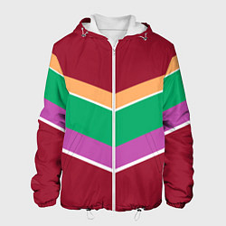 Куртка с капюшоном мужская Тёмный красный с полосами, цвет: 3D-белый