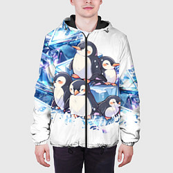 Куртка с капюшоном мужская Пингвины и лёд, цвет: 3D-черный — фото 2