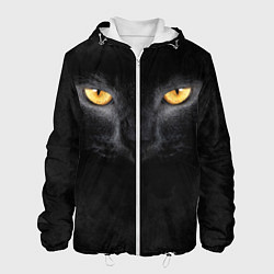Мужская куртка Черная кошка