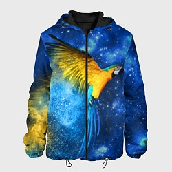 Куртка с капюшоном мужская Космический попугай, цвет: 3D-черный