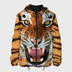Мужская куртка Взгляд тигра