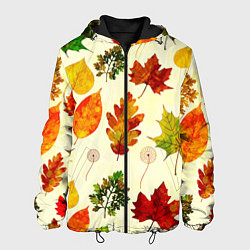 Куртка с капюшоном мужская Осень, цвет: 3D-черный