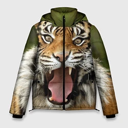 Куртка зимняя мужская Удивленный тигр, цвет: 3D-красный
