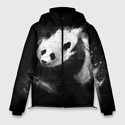 Куртка зимняя мужская Молочная панда, цвет: 3D-светло-серый