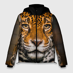 Куртка зимняя мужская Взгляд ягуара, цвет: 3D-черный