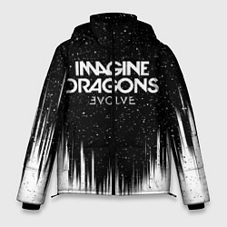 Куртка зимняя мужская IMAGINE DRAGONS, цвет: 3D-светло-серый