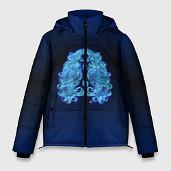 Куртка зимняя мужская Знаки Зодиака Дева, цвет: 3D-черный