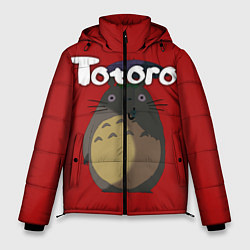 Куртка зимняя мужская Totoro, цвет: 3D-черный