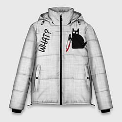Куртка зимняя мужская What cat, цвет: 3D-черный