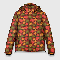 Мужская зимняя куртка Maple leaves