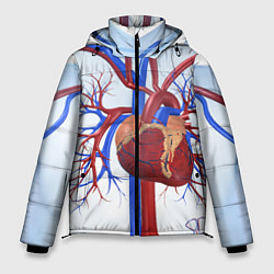 Куртка зимняя мужская Сердце, цвет: 3D-черный