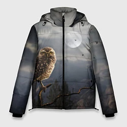 Куртка зимняя мужская Сова, цвет: 3D-светло-серый